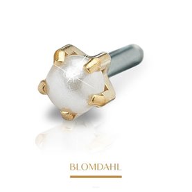 Blomdahl - Kolczyki - Złoty tytan medyczny - Tiffany 4 mm Pearl 1szt
